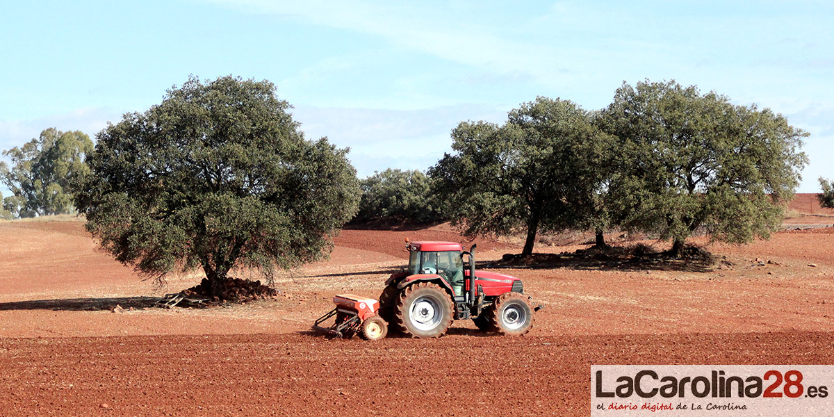 Las ayudas de Diputación para proyectos de agricultura y sostenibilidad facilitarán 125 actuaciones en 79 municipios