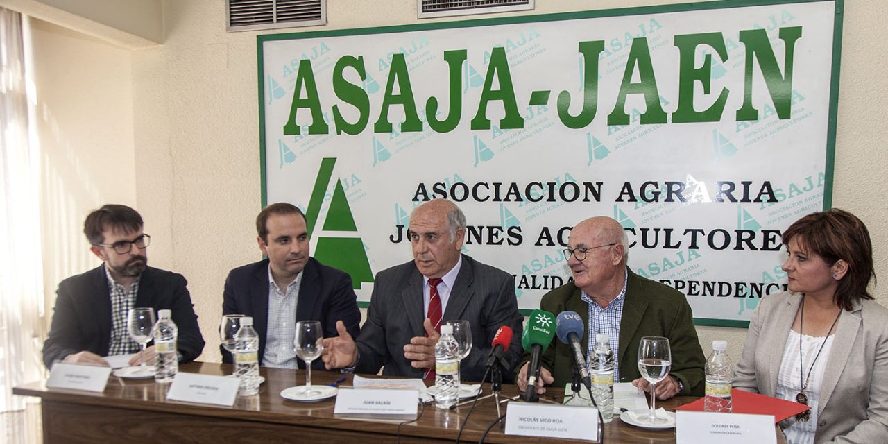 La Junta destina a la provincia más de 900.000 euros para al desarrollo de 4 proyectos innovadores en el olivar