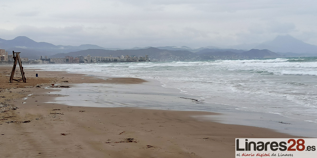 OPINIÓN | ¿SALVAREMOS EL VERANO DE LA PANDEMIA?