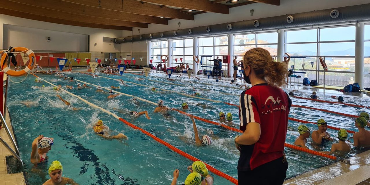 Unos 165 nadadores compiten en el IV Trofeo de Natación de La Carolina