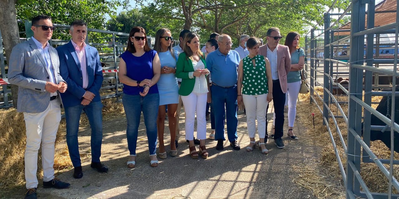 Más de 30 ganaderías participan en la Feria de Ganado de La Carolina