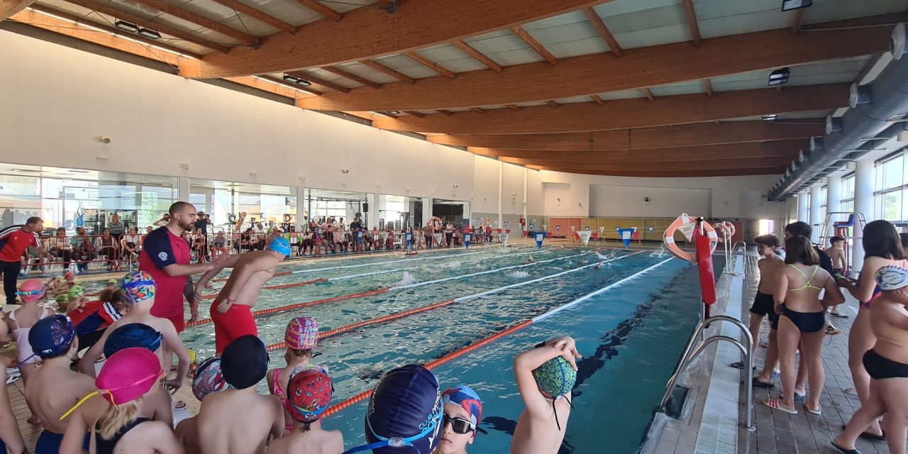 El V Trofeo de Natación Ciudad de La Carolina reúne a unos 100 participantes