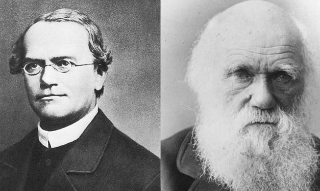 OPINIÓN | MENDEL Y DARWIN: UNA RELACIÓN ENIGMÁTICA