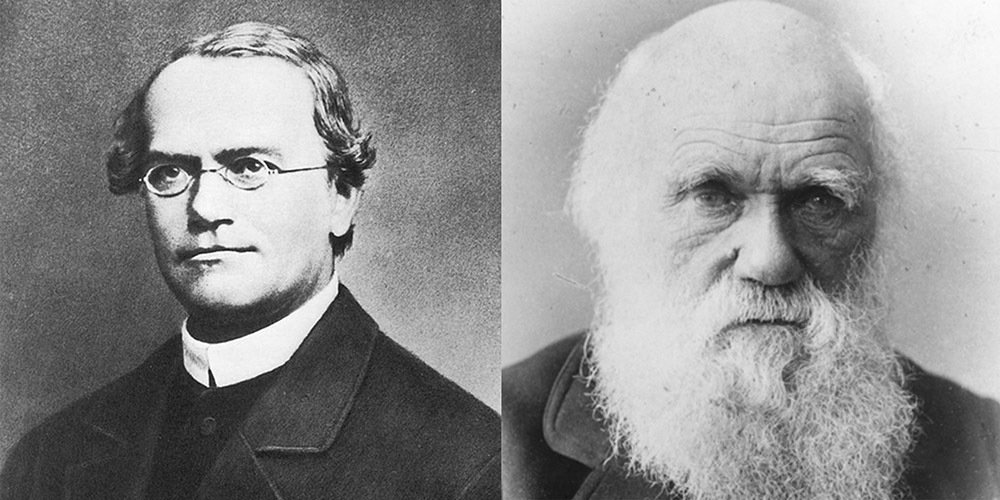 OPINIÓN | MENDEL Y DARWIN: UNA RELACIÓN ENIGMÁTICA
